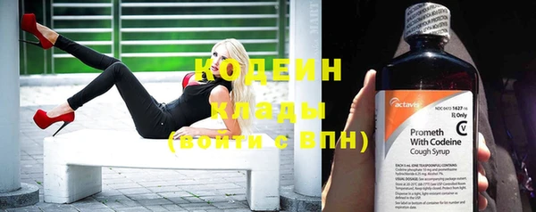 индика Майский