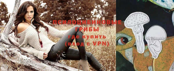 индика Майский