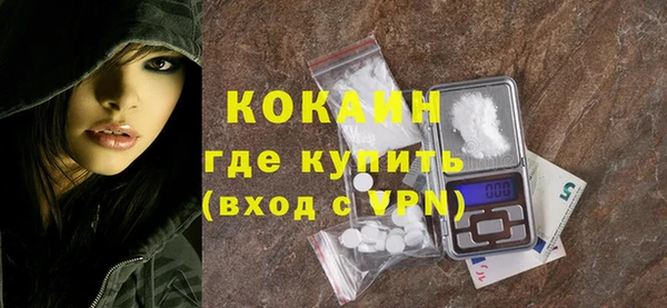 индика Майский
