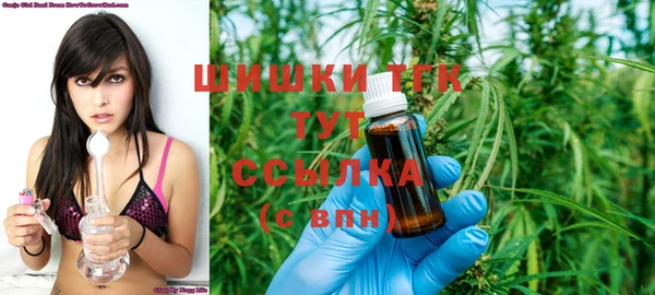 индика Майский