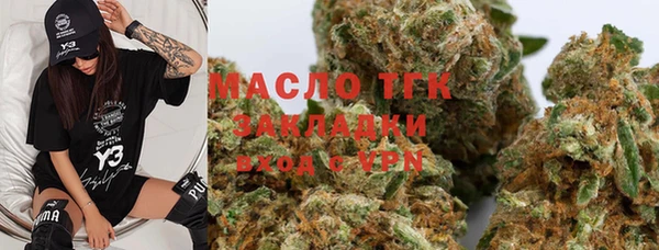 индика Майский