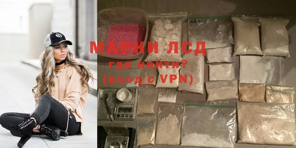 apvp Магас