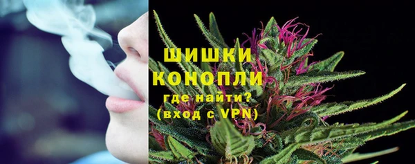 apvp Магас